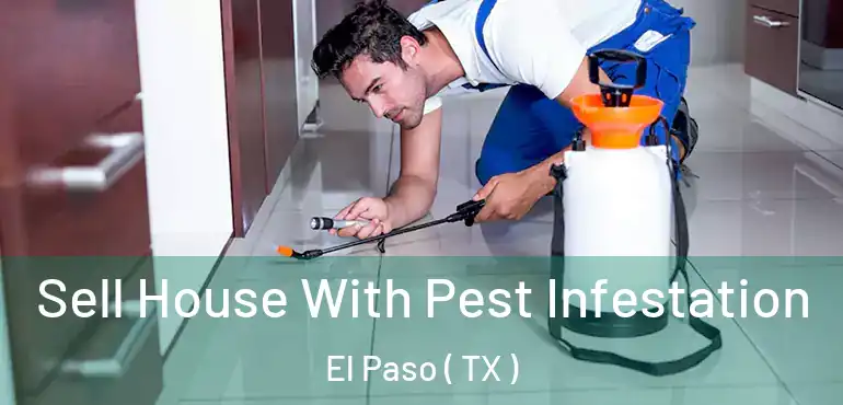  Sell House With Pest Infestation El Paso ( TX )